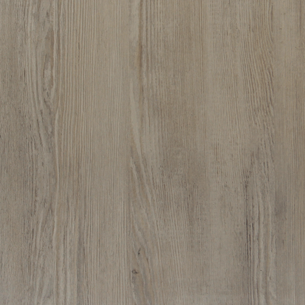 Pine Astana